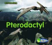 Pterodactyl 1