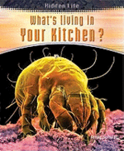 What's Living In Your Kitchen 1