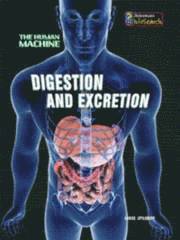 bokomslag Digestion and Excretion