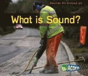 bokomslag What is Sound?