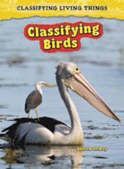 bokomslag Classifying Birds