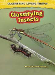 bokomslag Classifying Insects