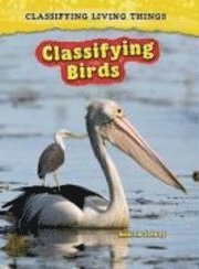 bokomslag Classifying Birds