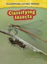 Classifying Insects 1