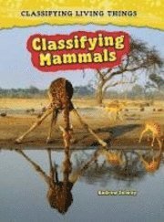 bokomslag Classifying Mammals