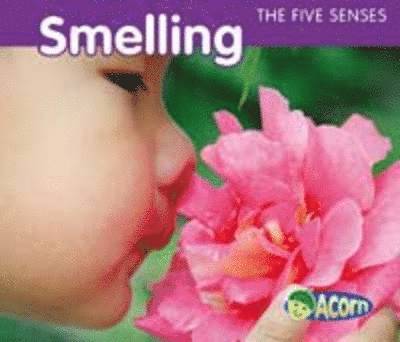 The Five Senses 1