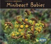 Minibeast Babies 1