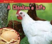 bokomslag A Chicken's Life
