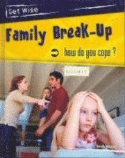 bokomslag Family Break-up