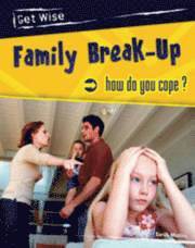 bokomslag Family Break-up