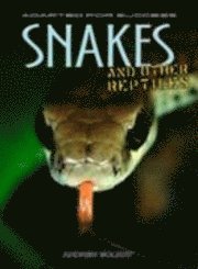 bokomslag Snakes and Other Reptiles