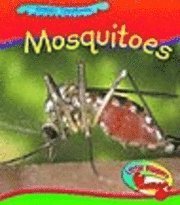 bokomslag Mosquito