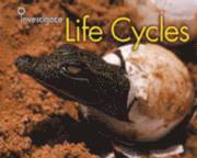 bokomslag Life Cycles