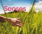 Senses 1