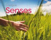 Senses 1