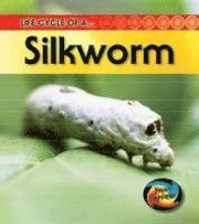 bokomslag Life Cycle of a Silkworm