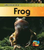 Life Cycle of a Frog 1