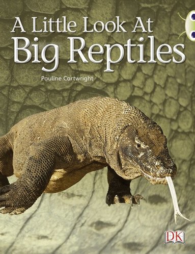 Pauline Cartwright - Bug Club Guided Non Fiction Year 1 Blue B A Little Look at Big Reptiles, Häftad