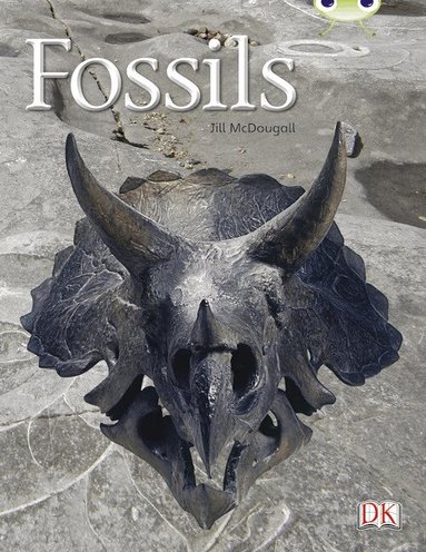 Jill McDougall - Bug Club Guided Non Fiction Year Two Gold A Fossils, Häftad