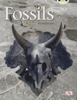 Bug Club Guided Non Fiction Year Two Gold A Fossils 1