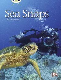 bokomslag Bug Club Independent Non Fiction Year 1 Green A Sea Snaps