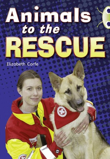 Elizabeth Corfe - Bug Club Guided Non Fiction Year 2 Gold B Animals to the Rescue, Häftad