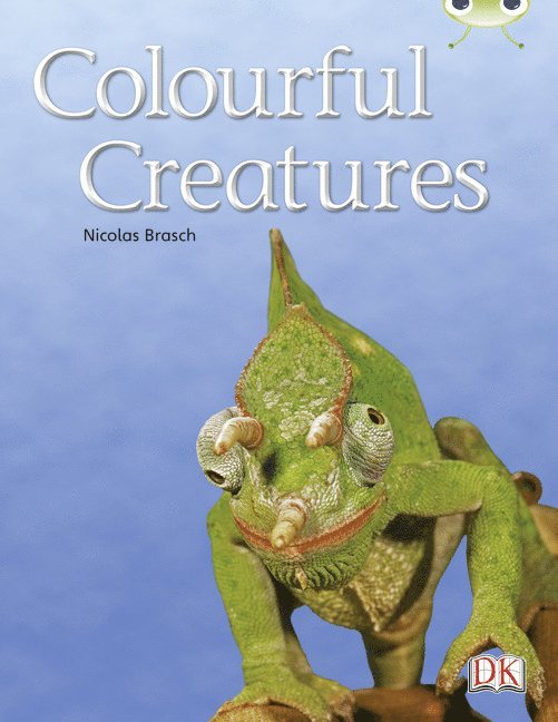 Nicolas Brasch - Bug Club Independent Non Fiction Year Two Orange B Colourful Creatures, Häftad