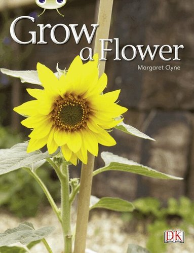 Margaret Clyne - Bug Club Independent Non Fiction Reception Red C Grow a Flower, Häftad
