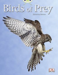 bokomslag Bug Club Independent Non Fiction Year Two White A Birds of Prey