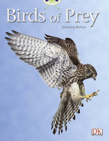 bokomslag Bug Club Independent Non Fiction Year Two White A Birds of Prey