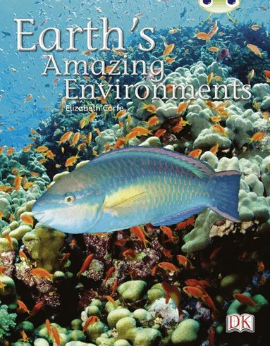 Elizabeth Corfe - Bug Club Independent Non-Fiction Year Two White A - Earth's Amazing Environments, Häftad