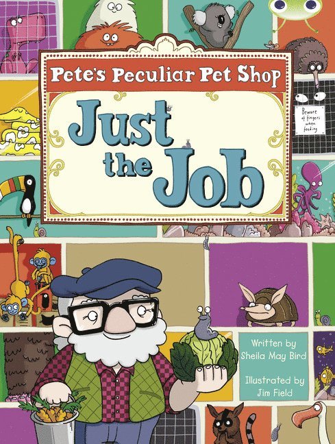 Bug Club Turquoise B/1A Pete's Peculiar Pet Shop: Just the Job 6-pack 1