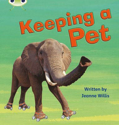 bokomslag Bug Club Phonics - Phase 5 Unit 13: Keeping A Pet