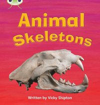 bokomslag Bug Club Phonics - Phase 5 Unit 17: Animal Skeletons