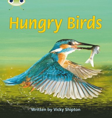 bokomslag Bug Club Phonics - Phase 5 Unit 23: Hungry Birds