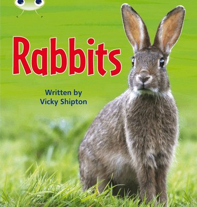 Vicky Shipton - Bug Club Phonics - Phase 5 Unit 27: Rabbits, Häftad
