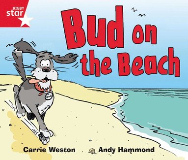 bokomslag Rigby Star Guided Phonic Opportunity Readers Red: Bud On The Beach