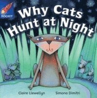bokomslag Rigby Star Independent Year 1 Green Fiction Why Cats Hunt At Night Single