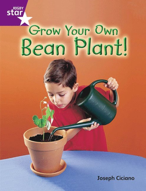 Rigby Star Guided Quest Purple: Grow Your Own Bean Plant! 1