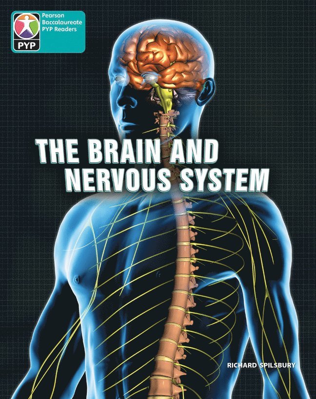 PYP L10 Brain and nervous system 6PK 1