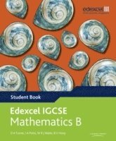 bokomslag Pearson Edexcel International GCSE Mathematics B Student Book