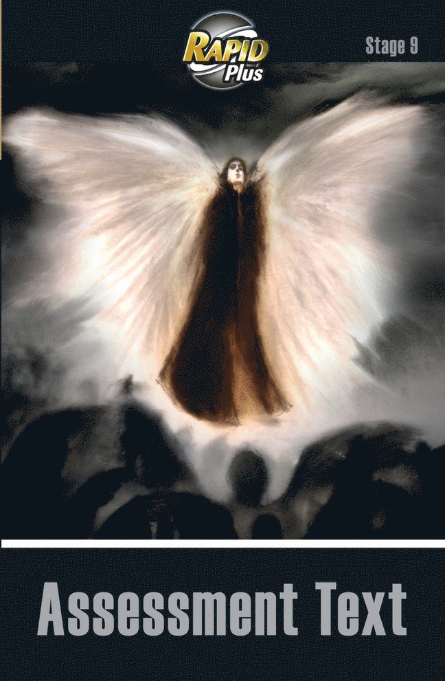 Julia Golding - RapidPlus Assessment Book Stage 9, Häftad