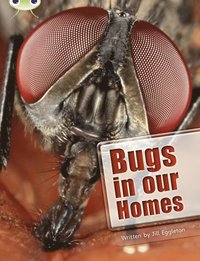 bokomslag Bug Club Independent Non Fiction Year Two Lime A Bugs in our Homes