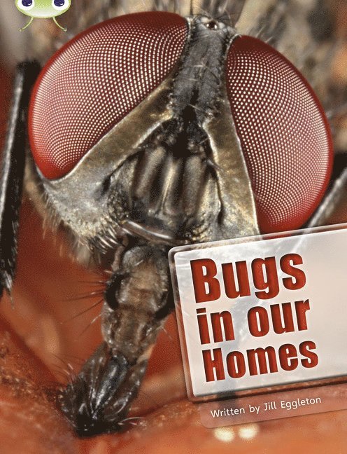 Bug Club Independent Non Fiction Year Two Lime A Bugs in our Homes 1