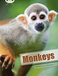 bokomslag Bug Club Guided Non Fiction Year 3 White A Monkeys