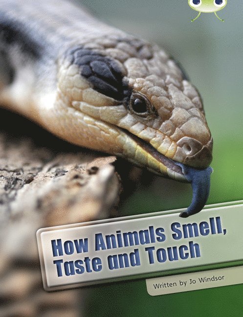 Bug Club Independent Non Fiction Year Two White A How Animals Smell, Taste and Touch 1