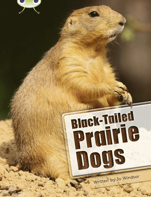 Bug Club Independent Non Fiction Year Two White B Black-tailed Prairie Dogs 1