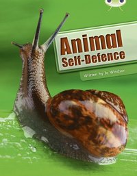 bokomslag Bug Club Guided Non Fiction Year Two White B Animal Self Defence
