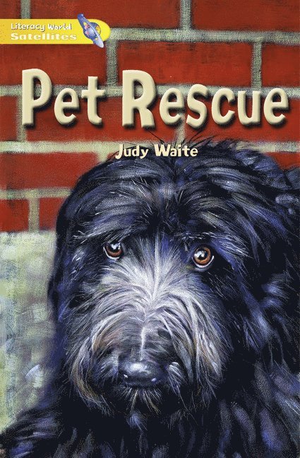 Literacy World Satellites Fiction Stg 1 Pet Rescue Single 1