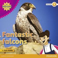 bokomslag My Gulf World and Me Level 4 non-fiction reader: Fantastic falcons